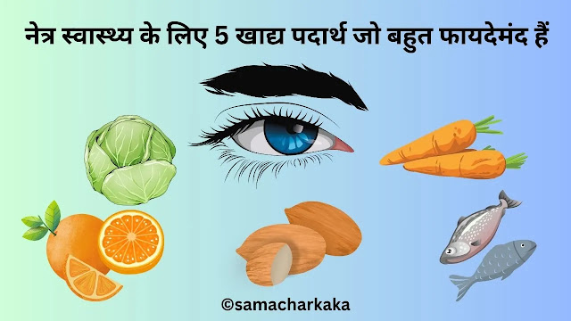 5-foods-that-are-good-for-eye-health