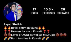 इंस्टाग्राम बायो इन हिंदी attitude | इंस्टाग्राम बायो इन हिंदी attitude girl - Instagram bio in hindi - 2023