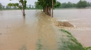महराजगंज जिले में टूटा महाव नाला, कई गांव जलमग्न